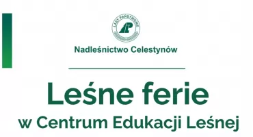 Leśne Ferie w pełni! Zobacz, co jeszcze czeka na dzieci i młodzież w Centrum Edukacji Leśnej