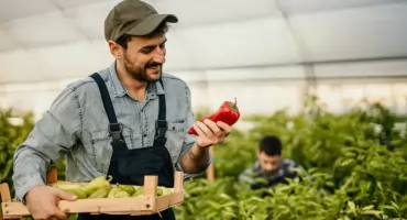 Kwalifikacje rolnicze a formalne wymagania - jaką ścieżkę wybrać?