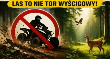 STOP nielegalnym rajdom! Las potrzebuje spokoju, a nie spalin