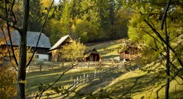 Jak zaplanować przydomową zieleń, żeby ogród był funkcjonalny przez cały rok?