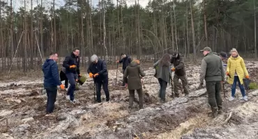 2000 sosen i nowe życie lasu – leśnicy z Nadleśnictwa Celestynów sadzą razem z mieszkańcami