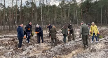 2000 sosen i nowe życie lasu – leśnicy z Nadleśnictwa Celestynów sadzą razem z mieszkańcami