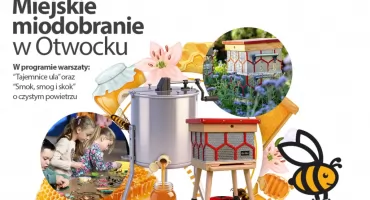 Miejskie miodobranie na pasiece z recyklingu