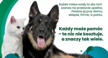 Zwierzętom też chce się pić - wystaw miskę!