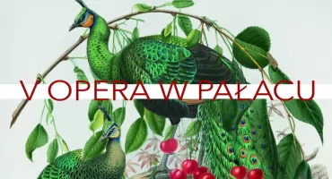 Opera w Pałacu 2026. Jubileuszowa edycja już 25 lipca w Otwocku Wielkim