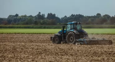 Kiedy lato zamienia się w koszmar