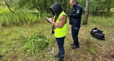 Uprawa marihuany w Otwocku zlikwidowana. Ponad 3,5 kg miało trafić do szkół