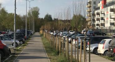 Czy dobrze dbają w Otwocku o zieleń miejską?